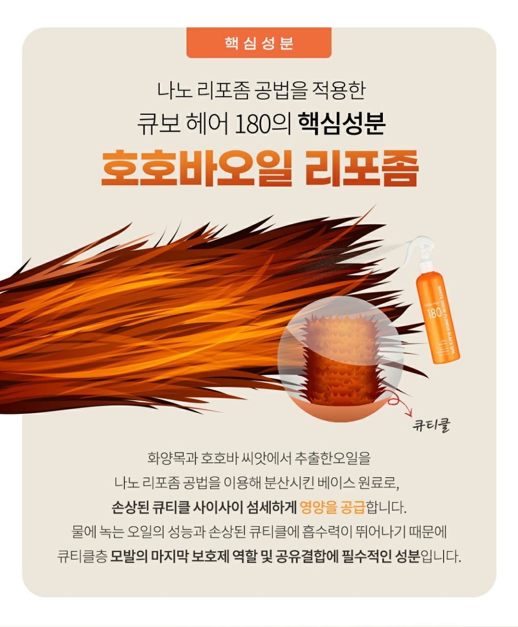 에이치레시피 하얀눈꽃 큐보 헤어 180